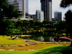 旧芝離宮恩賜公園にて