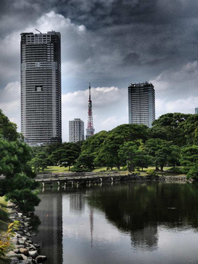 浜離宮恩賜庭園より臨む東京タワー