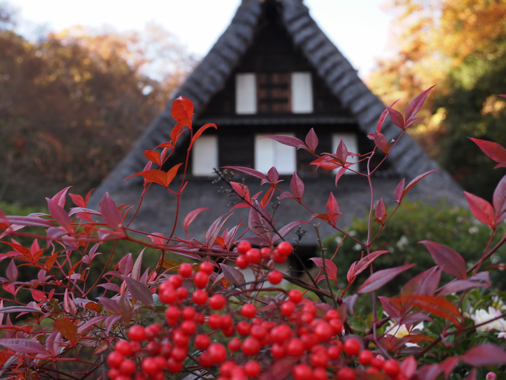 川崎市立日本民家園にて