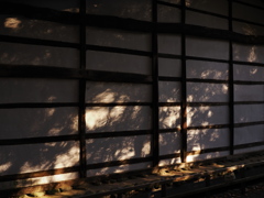 川崎市立日本民家園にて　その二