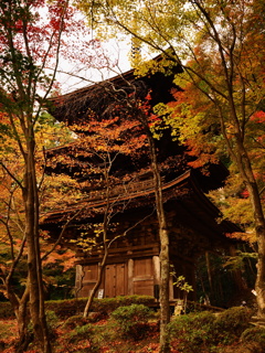 金剛輪寺三重の塔