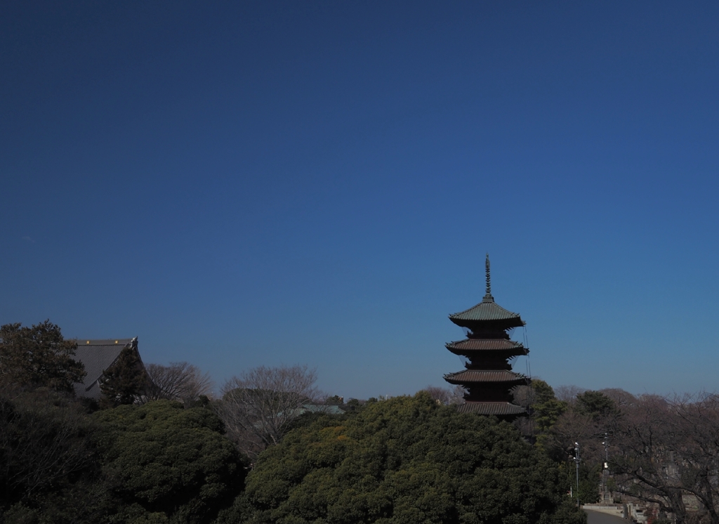 池上本門寺散歩その参