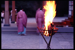 鶴岡八幡宮