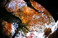 瑞宝寺(有馬)2