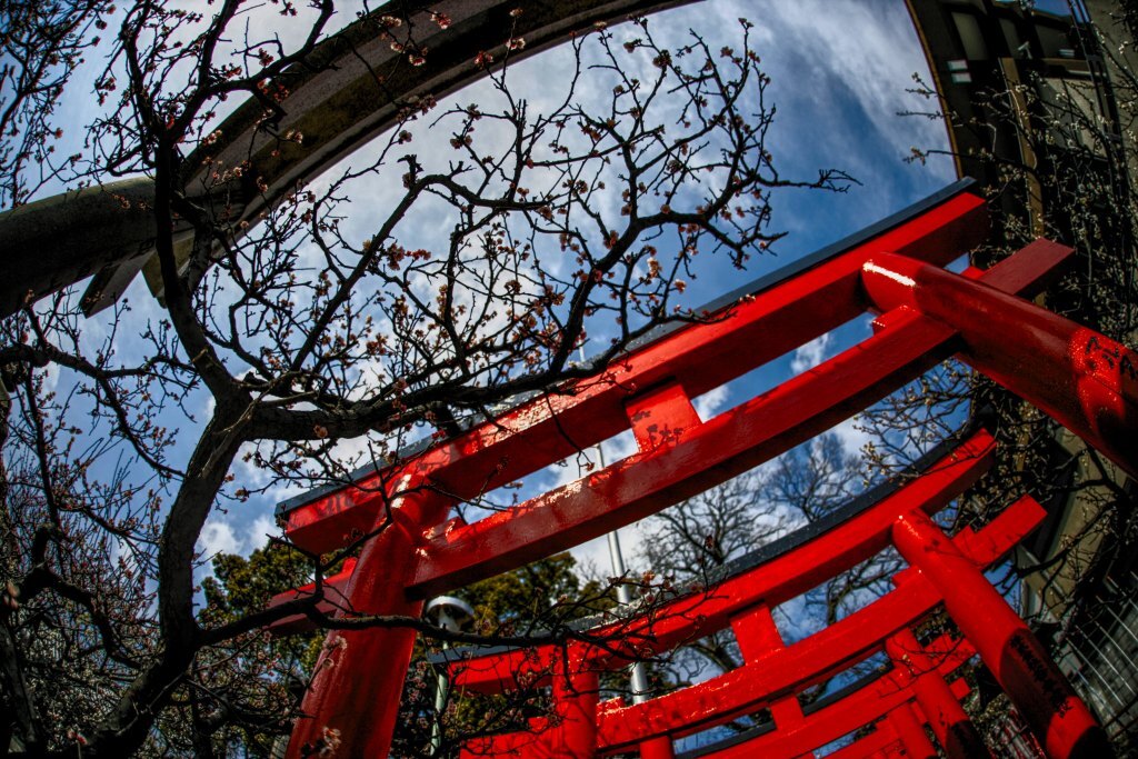 近所の神社(1)