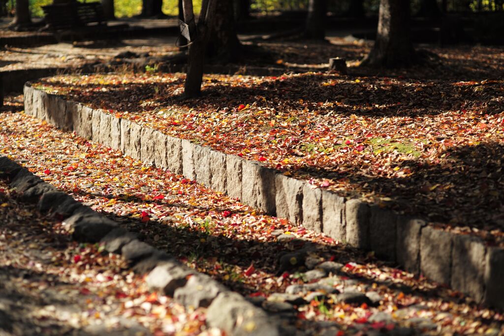 近所の公園にて(2)