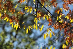 近所の公園にて(3)