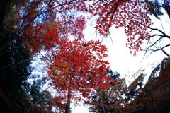 瑞宝寺(有馬)3