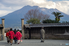 桜島＠仙巌園