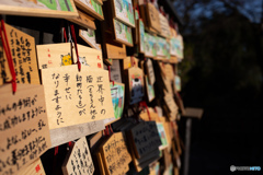 猫神神社＠仙巌園