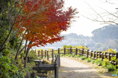 関吉の疎水溝3