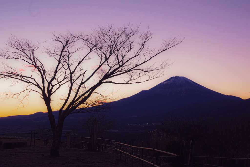 大野山より富士を望む.
