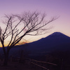 大野山より富士を望む.