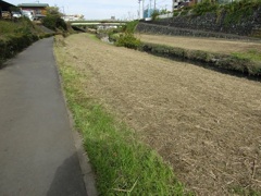 遊歩道