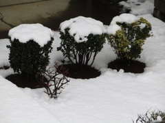 小さな雪景色　１