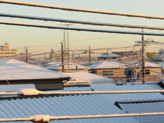 初雪積もる