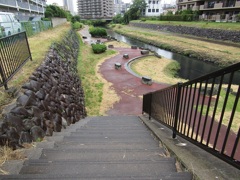 雨の遊歩道