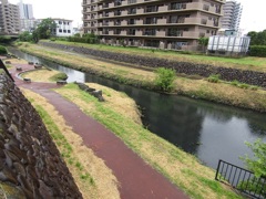 雨の遊歩道　２