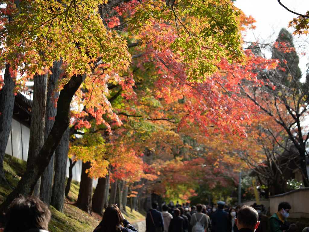 東福寺