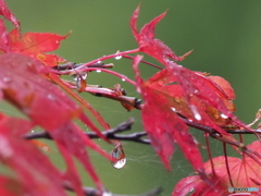 雨後