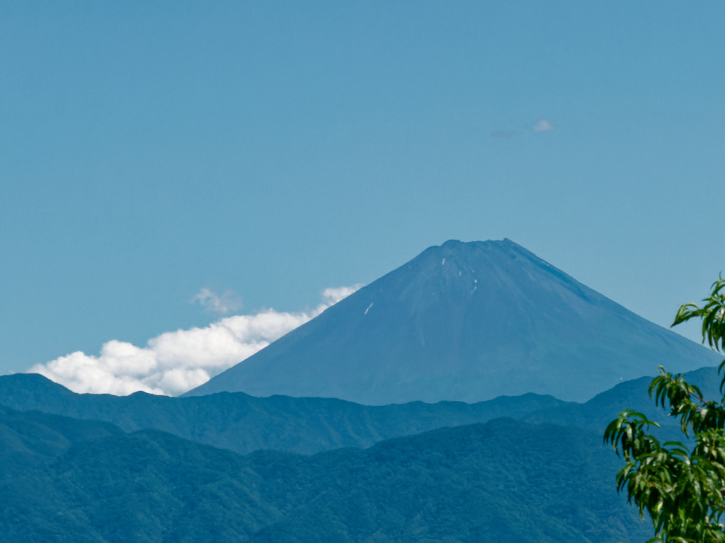 初夏の富士