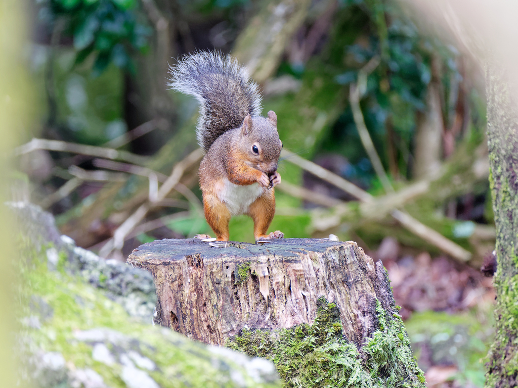 木陰でモグモグ　②