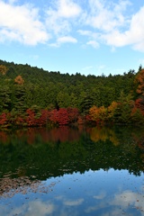 湖畔の彩り　①