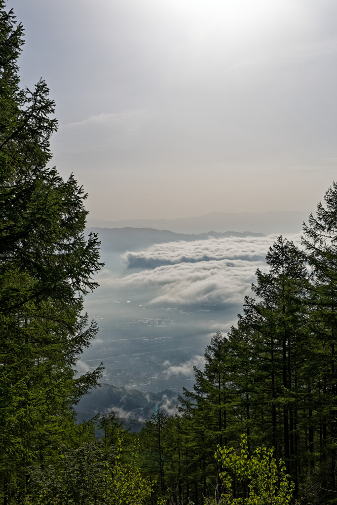 雲の上のお山