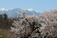 芸術村の春　④