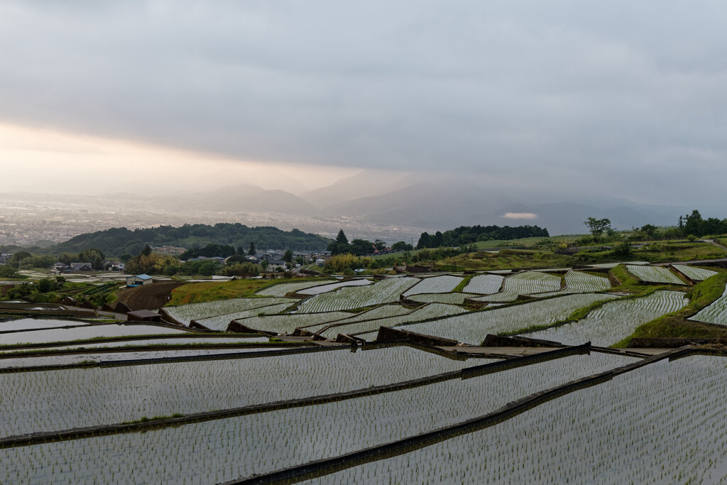 中野の棚田