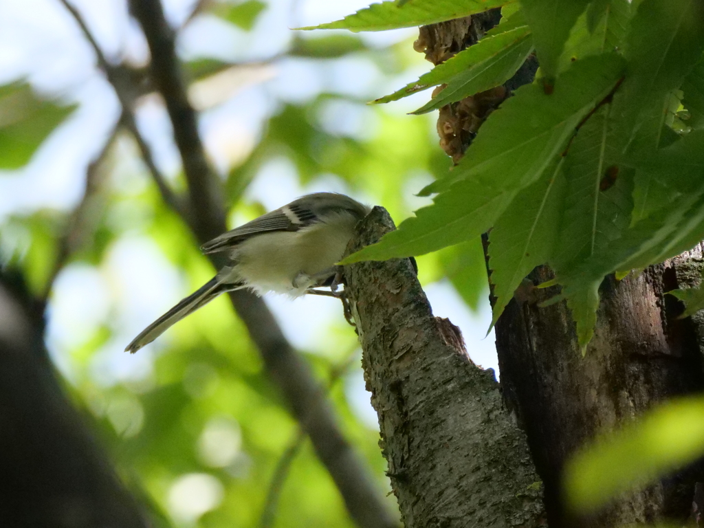 頭隠して・・・