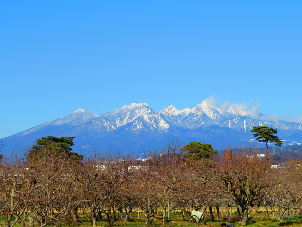 春待つ八ヶ岳（雪景色）