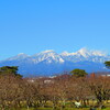 春待つ八ヶ岳（雪景色）