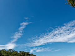 秋空　②（秋の気配）