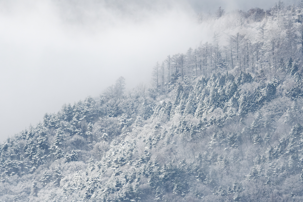 吹雪く山　(2024.01.04)