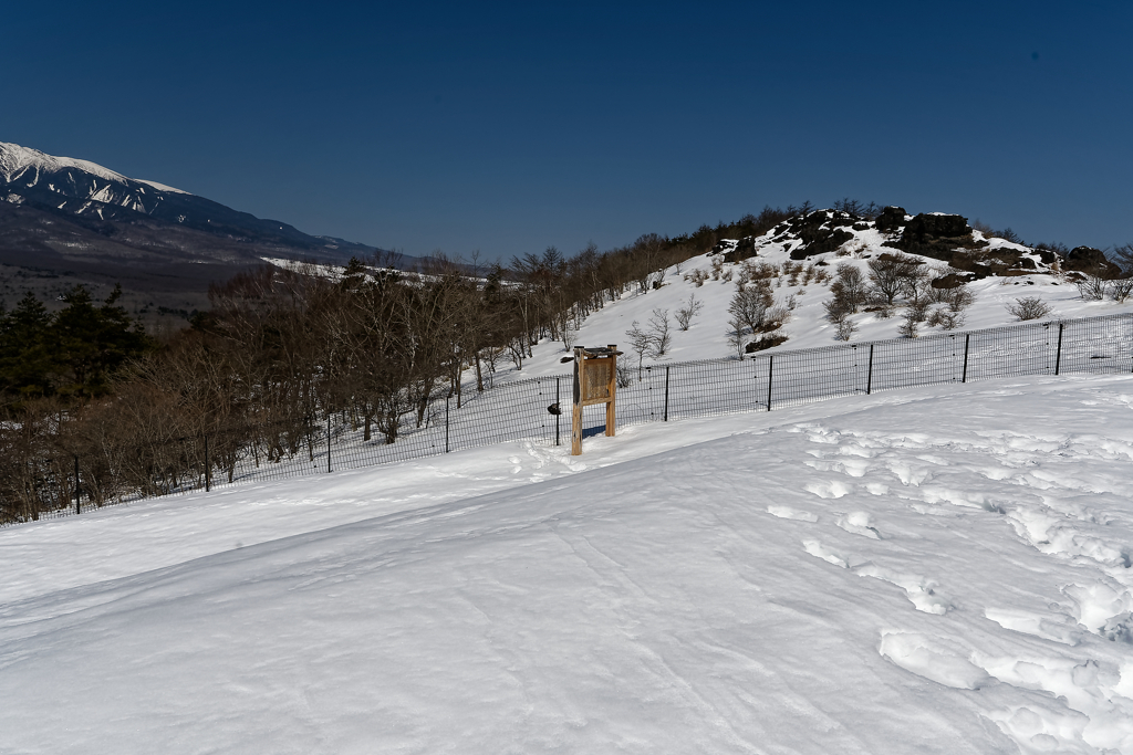 残雪の平沢峠　②　(2024.03.16)