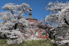 芸術村の春　①
