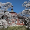 芸術村の春　①