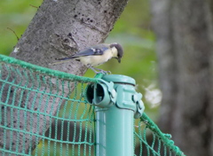 遊んでくれないの・・・