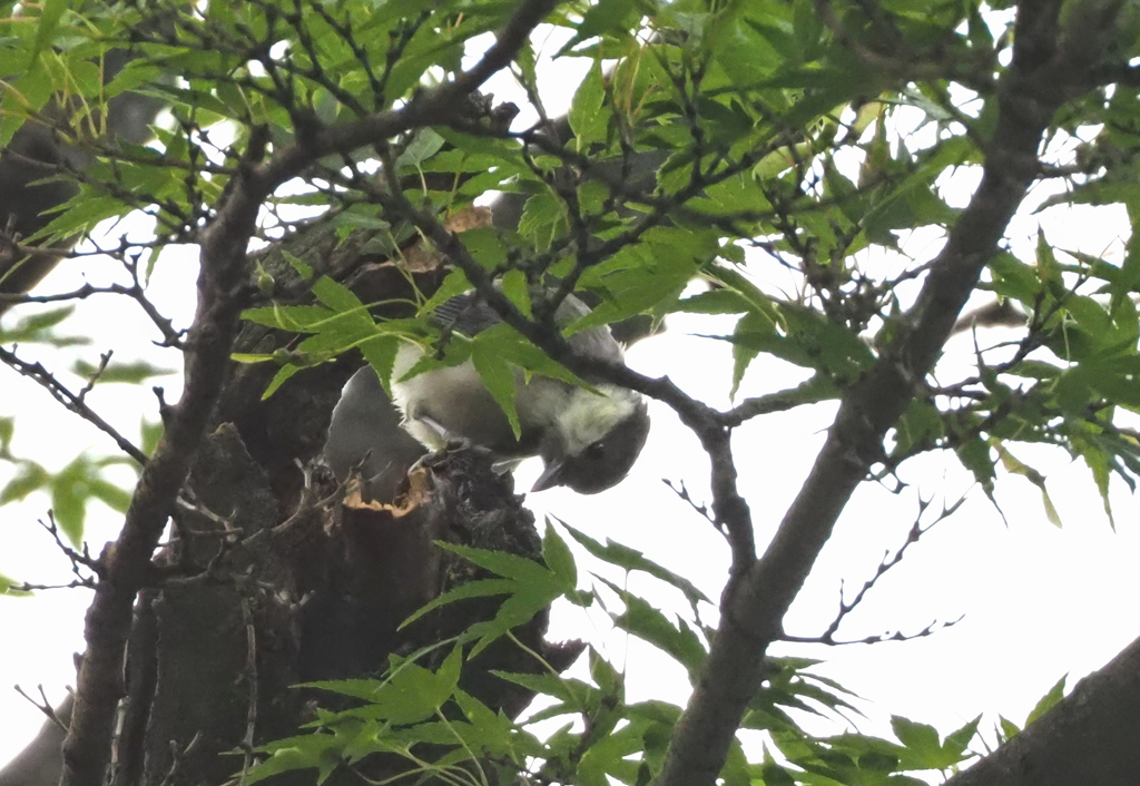 お腹空いたヨ！