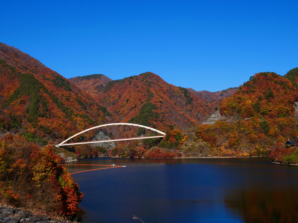 晩秋の紅葉１（みずがき湖）