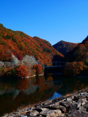 晩秋の紅葉２（みずがき湖）