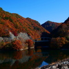 晩秋の紅葉２（みずがき湖）