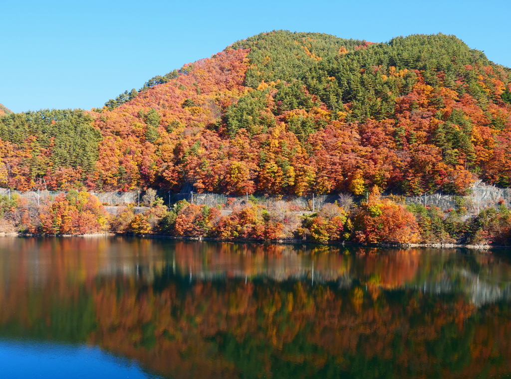 晩秋の紅葉３（みずがき湖）