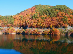 晩秋の紅葉３（みずがき湖）