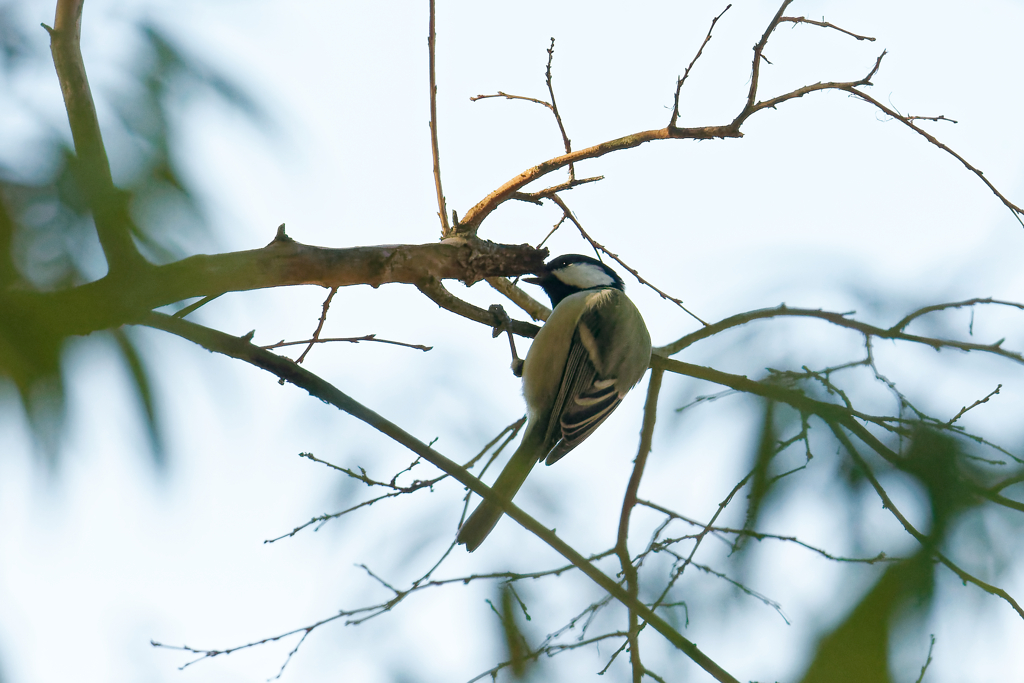 何か無いかな～？