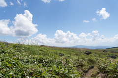 霧ヶ峰高原　②