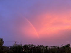 夕焼け空に・・・