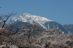 芸術村の春　③
