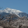 芸術村の春　③